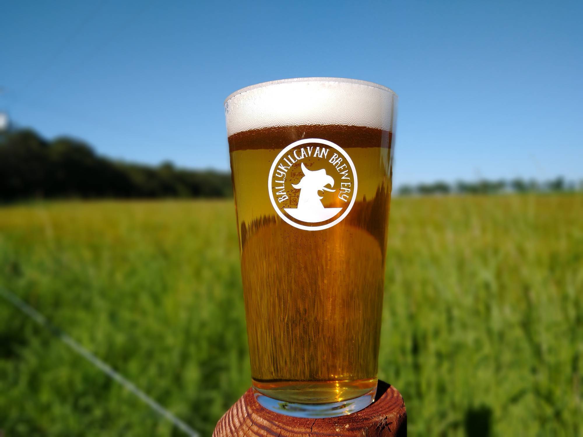 David Walsh-Kemmis is the man behind Ballykilcavan Brewery