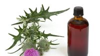 Extract of milk thistle