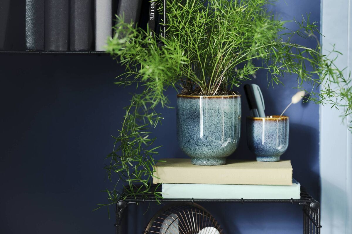 Dromsk plant pot, €7 Dromsk plant pot, €7