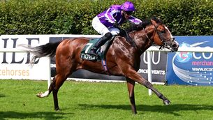 <p>HMS Endeavour &amp; Seamie Heffernan win the Irish Stallion Farms EBF Maiden in August. Picture: Healy Racing</p>