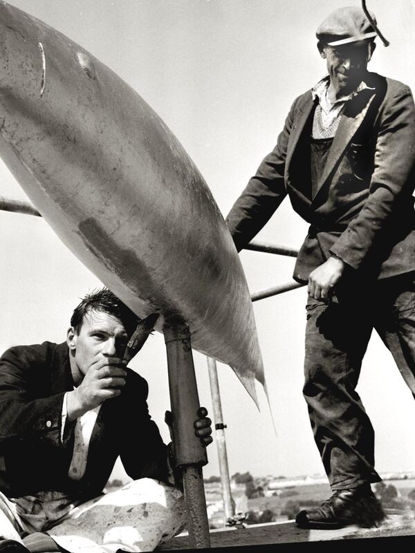 Corporation workers Tom Holmes and Michael O'Sullivan high on Shandon steeple in 1959, gilding the famous fish with laminated gold. Picture: Irish Examiner Archive 