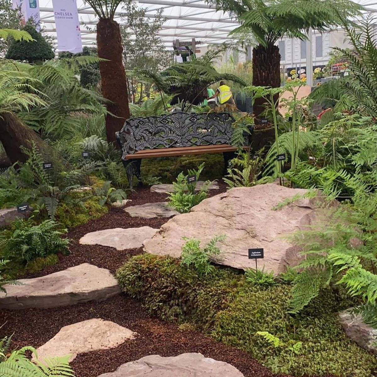 Billy Alexander's display at the RHS Chelsea Flower Show. Picture: Kells Bay House and Gardens