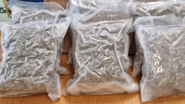 Kinsale woman on cannabis charge brought 'dilute' urine sample to court