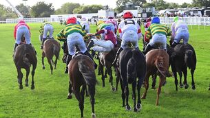 <p>Action from Thursday's Guinness Kerry National. Picture: Healy Racing</p>