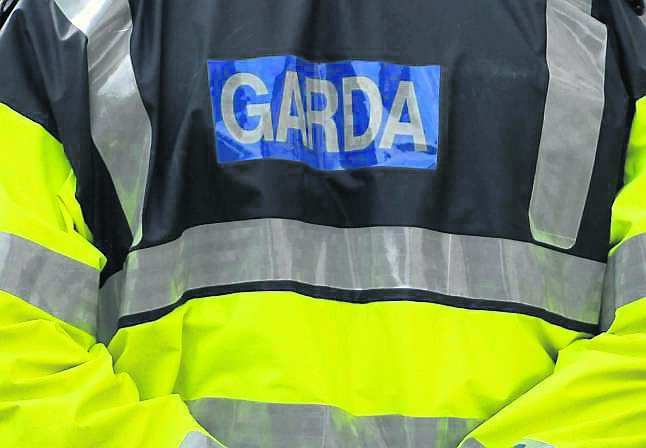 Suspension of eight gardaí in Limerick akin to a  'witch-trial', claims TD