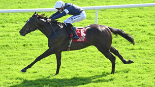 <p>Swan Bay and Shane Crosse win the Irish Stallion Farms EBF Maiden. Picture: Healy Racing.</p>