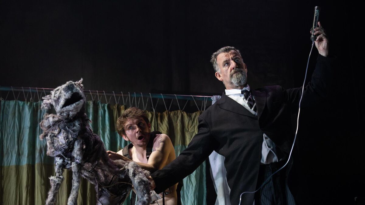 Matthew O’Brien and Steve Blount in Heart of a Dog at the Everyman. Picture: Darragh Kane