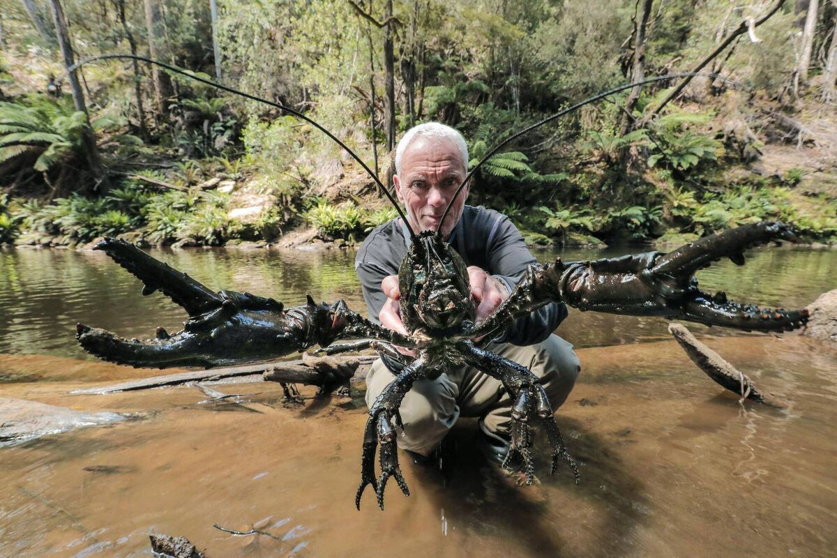 River Monsters with Jeremy Wade