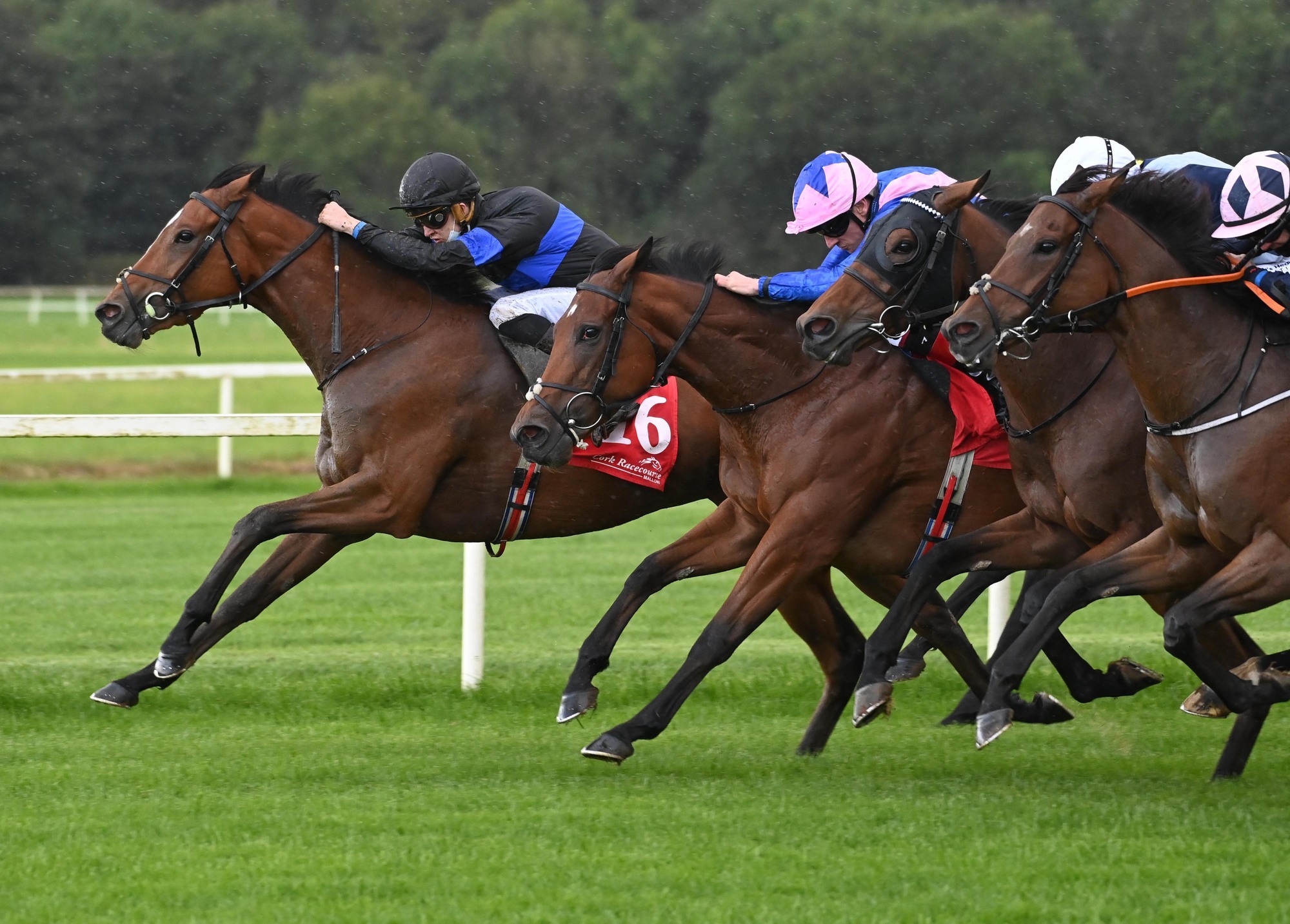 Queenship and Mikey Sheehy (far) win the Navigation Stakes (Listed) at Cork. Picture: Healy Racing.