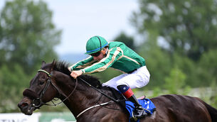 <p>Trueba and Wesley Joyce win at Limerick for trainer Johnny Murtagh last June. Picture: Healy Racing </p>