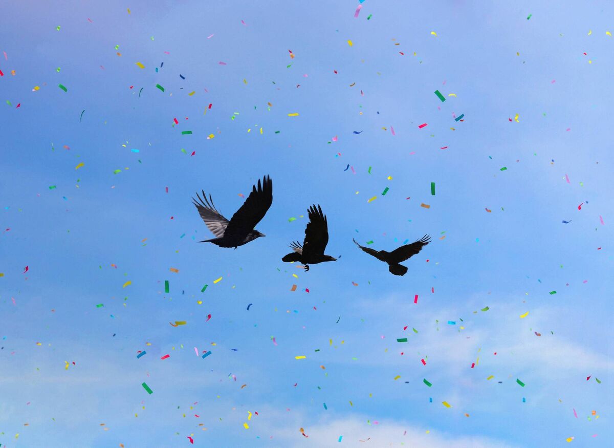 ‘Crashers’ by Elinor O’Donovan ‘Crashers’ by Elinor O’Donovan