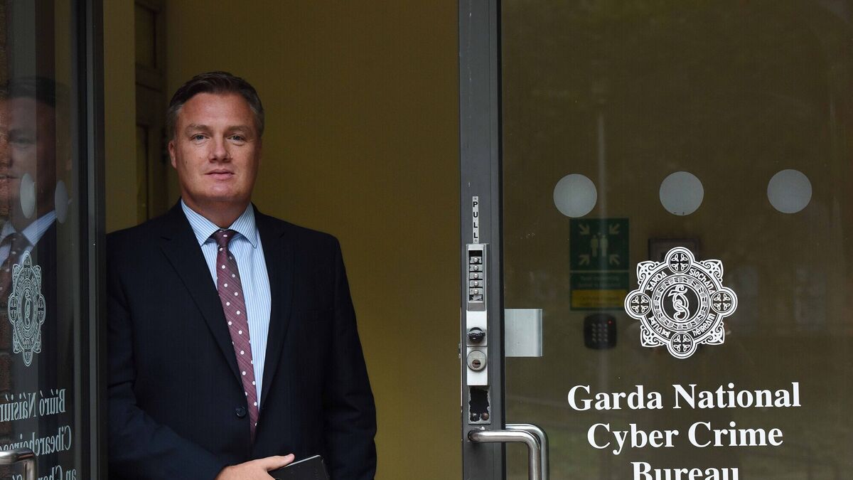 Cybercrime: Gardaí pour resources into hi-tech crime fighting