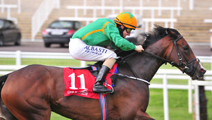 <p>Loch Lein and Shane Foley win The Irish Stallion Farms EBF Maiden at Cork last month. Picture: Healy Racing </p>
