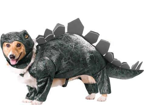 Stegosaurus dinosaur costume from Funidelia.ie, €30.53 Stegosaurus dinosaur costume from Funidelia.ie, €30.53