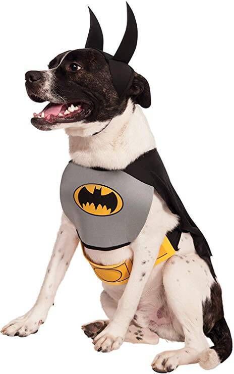 Batman dog costume, Petworld.ie €20 Halloween costumers for dogs article Batman dog costume, Petworld.ie €20 Halloween costumers for dogs article