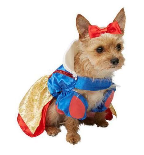 Snow White costume from funidelia.ie, €26.18. Snow White costume from funidelia.ie, €26.18.