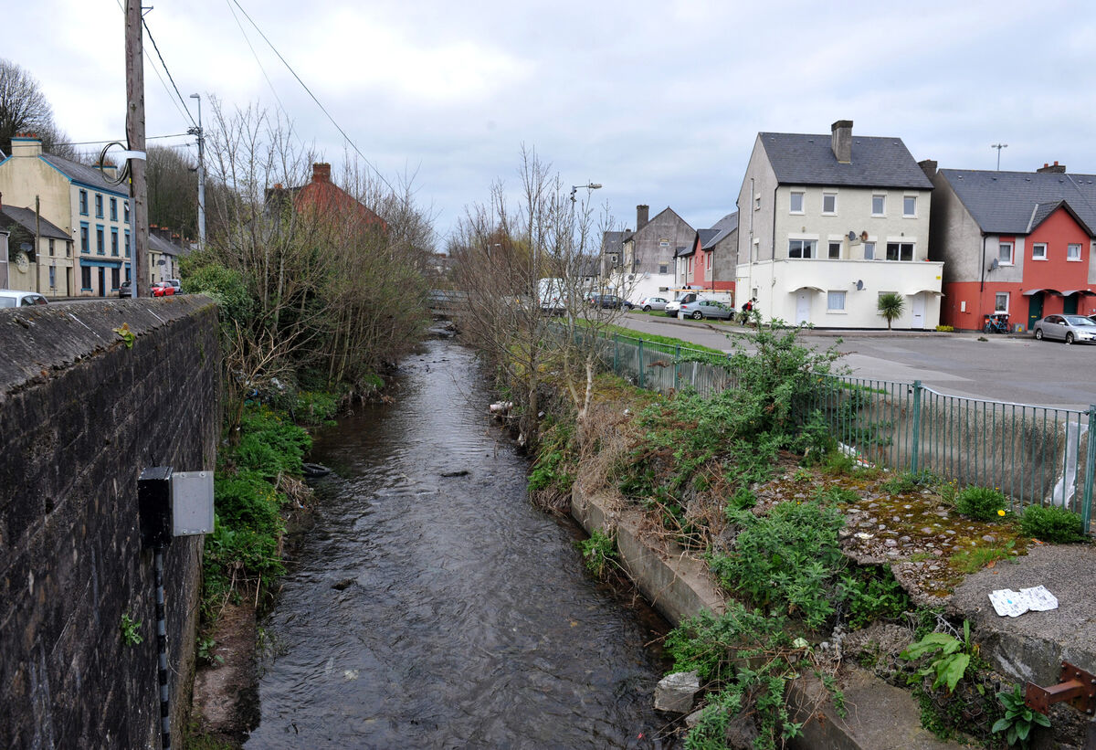 The spraying sparked fears that the herbicide could leach into the watercourse - an important otter habitat. Photo; Larry Cummins The spraying sparked fears that the herbicide could leach into the watercourse - an important otter habitat. Photo; Larry Cummins