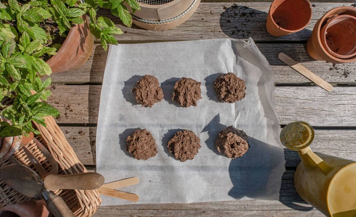 Sed bombs drying in the sun. Picture: Rowse/PA