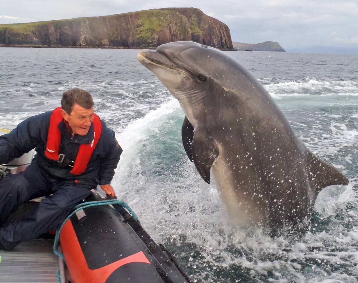 Rudi Schamhart with Fungie. Picture: Jeannine Masset