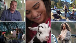 <p>Andrew McGinley; Peataí; Rosanna Davison (@rosanna_davison); Andie MacDowell; and Muppets Haunted Mansion — on TV this evening</p>