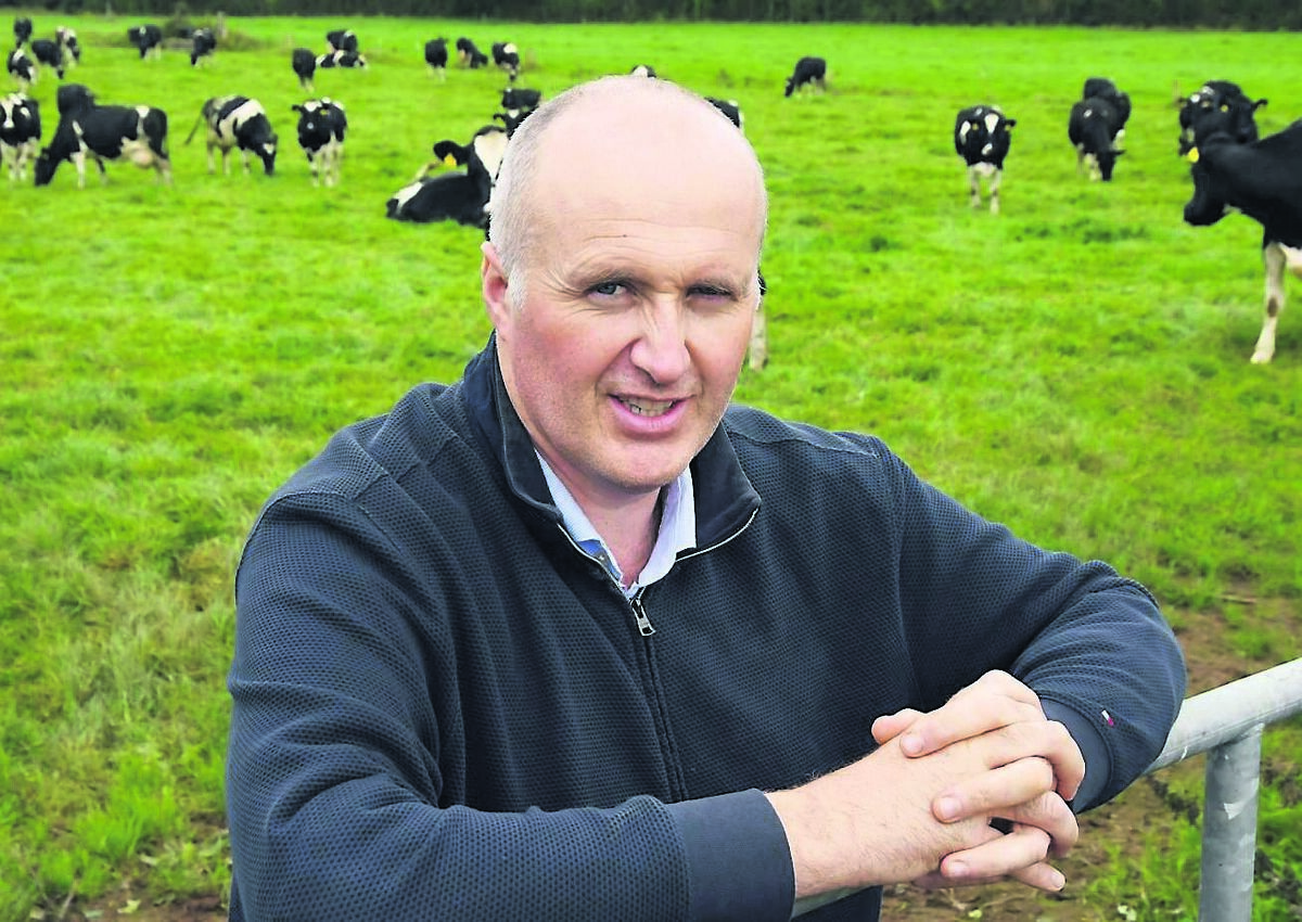 Pat McCormack, president, ICMSA, on the farm in Co Tipperary. 	Picture: Denis Minihane
                    