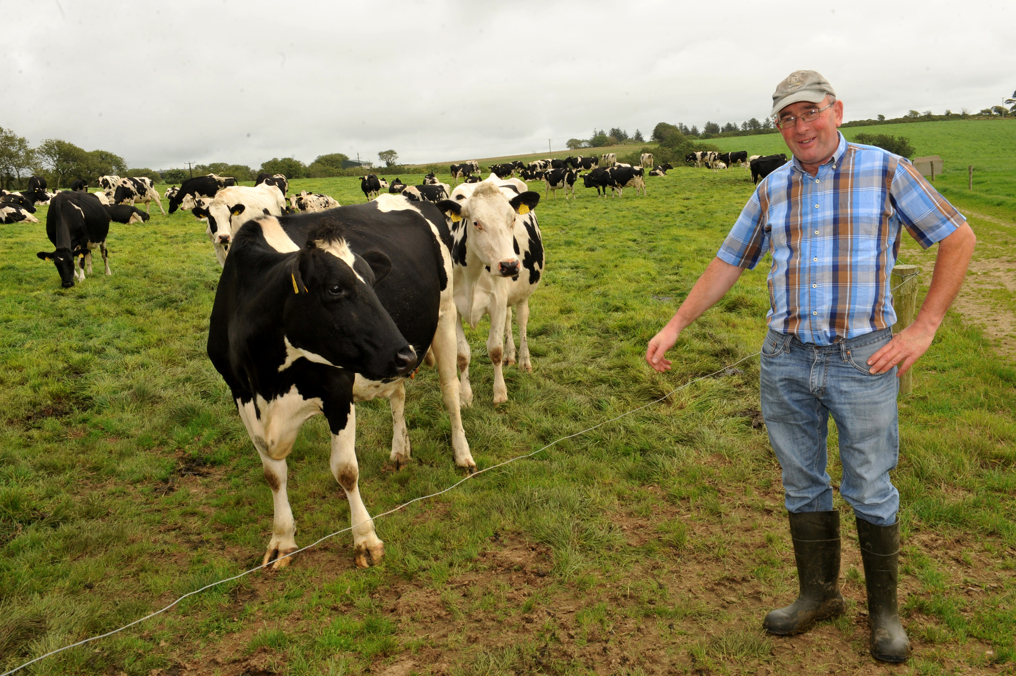 Meet the dairy farmers: ‘It is easy to say take more land, but the land isn’t there’