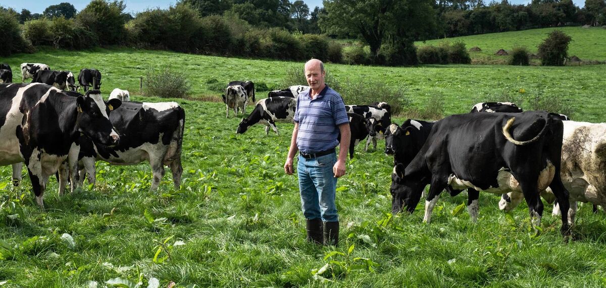 John Harrington at his dairy farm in Ballymore, Co Westmeath. Photo: Bob Morrison