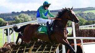 <p>Bell Ex One and Jack Foley jump the last to win the Kerry Group 3YO Hurdle at Listowel. Photo: Healy Racing</p>