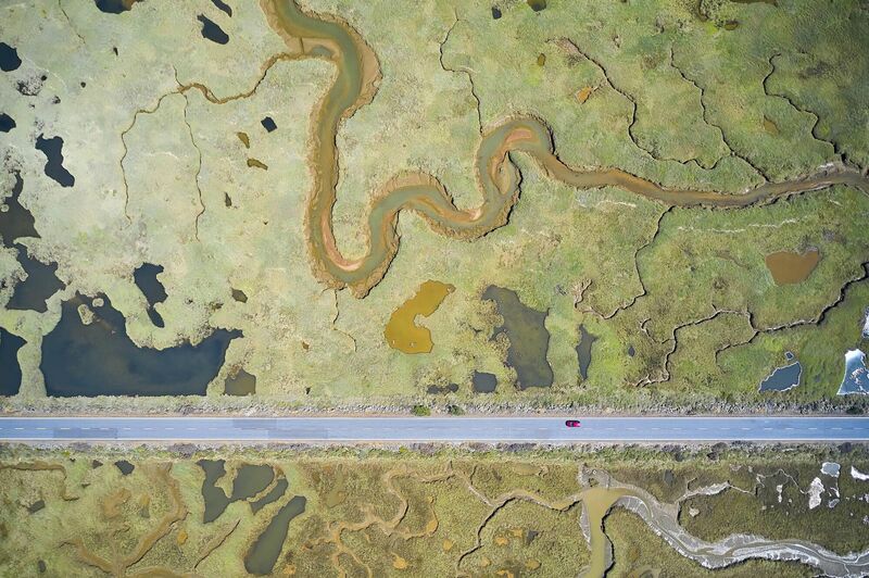 Road to ruin, by Javier Lafuente, Spain; Winner, Wetlands - The Bigger Picture: The straight line of a road slicing through the curves of the wetland landscape. Using a drone, he captured the pools as flat colours, varying according to the vegetation and mineral content. Dividing the wetland in two, this road was constructed in the 1980s to provide access to a beach.