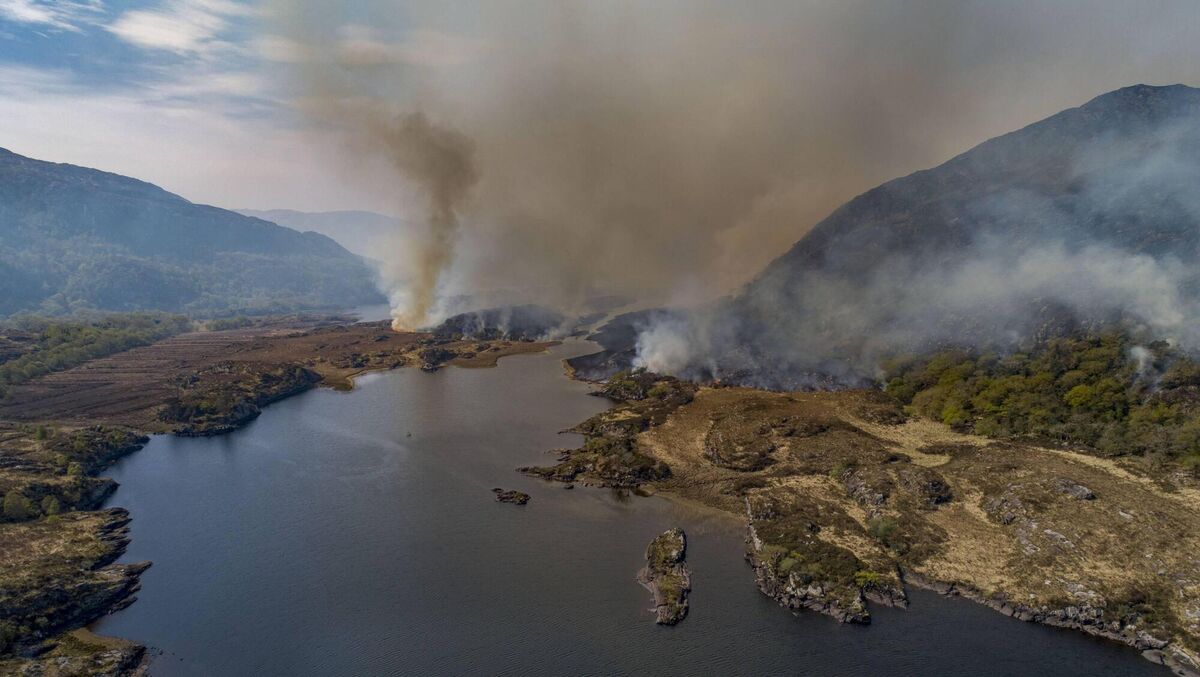 Scaled-up funding will also be crucial in preventing future national tragedies like the Killarney National Park wildfire last summer by overseeing proper management of our ancient woodlands. File picture: Valerie O'Sullivan