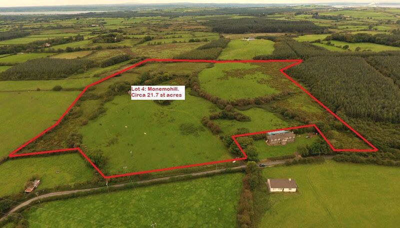 Lot 4 at Shanagolden, Co Limerick. Part of a 55-acre holdingup for auction.