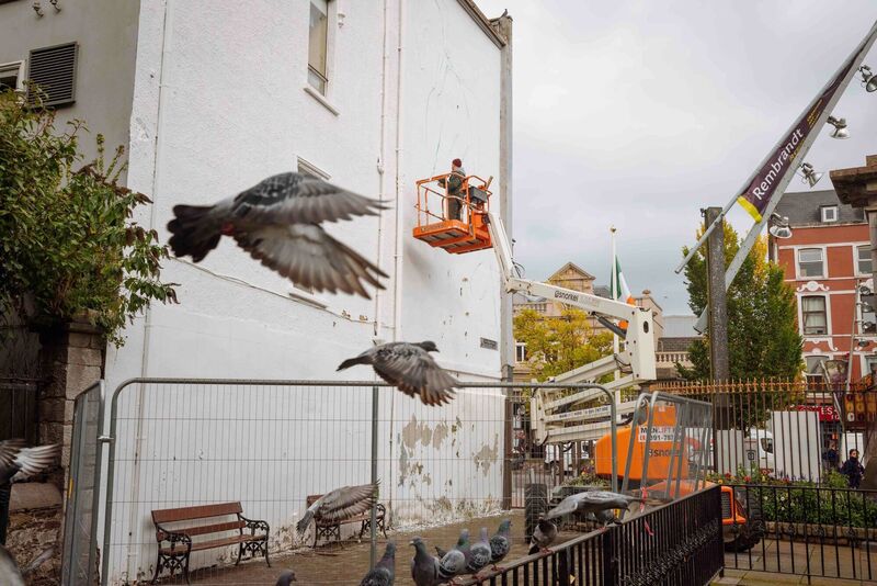 Cork-born artist Conor Harrington working on a new mural at Bishop Lucey Park, Cork, as part of Ardú 2021. Picture: John Beasley