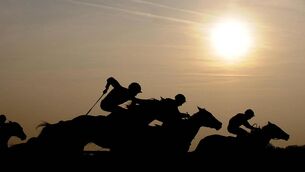 <p>Kieran Cotter’s runner made his debut in a Curragh maiden and forfeited all chance by breaking particularly slowly.</p>