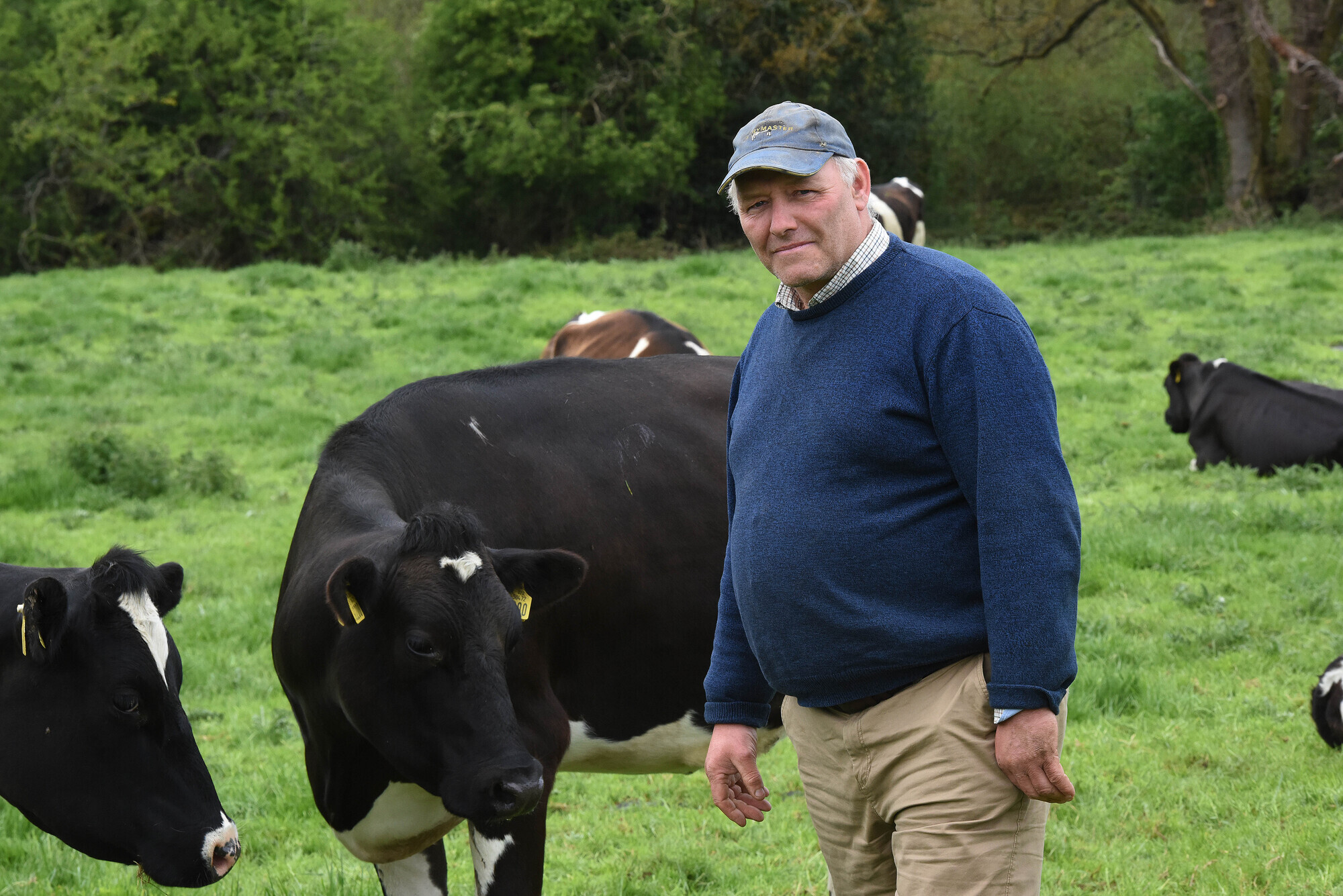Dairy farmers facing spring labour shortage at the peak of calving and milking season