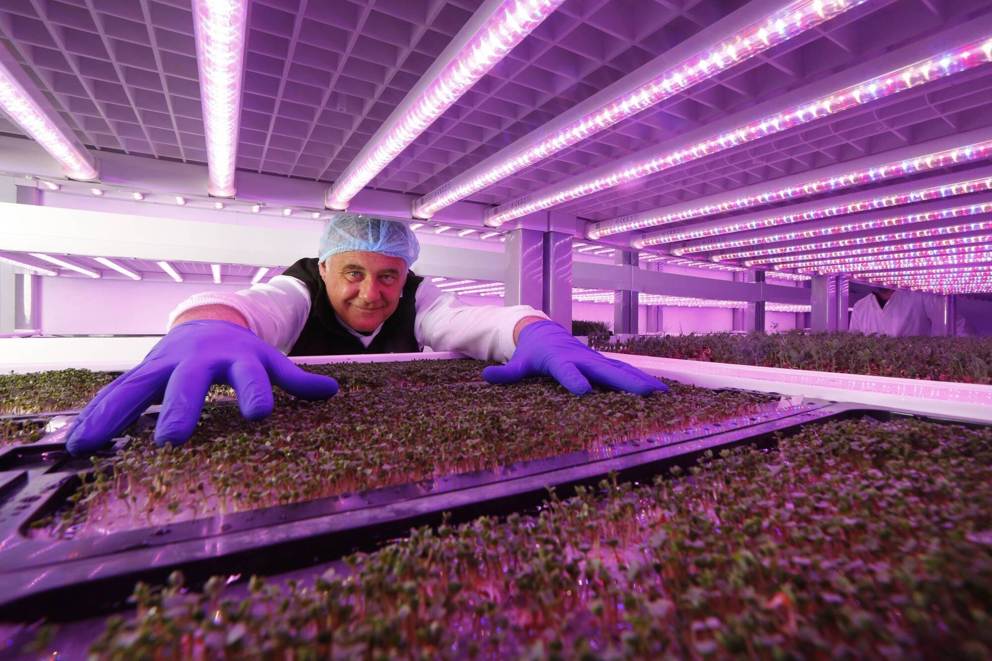 Stephen McCormack, McCormack Family Farms with the hydroponically grown SuperValu Signature Tastes Microgreen Mixes