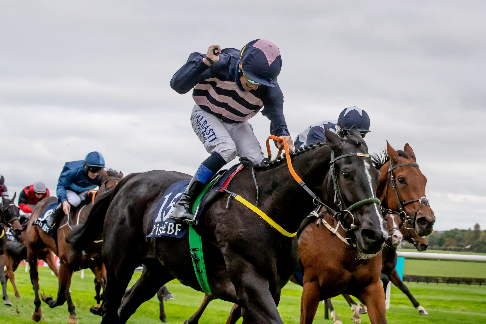 Lady Of Inishfree helps seal double for Noel Meade at Naas