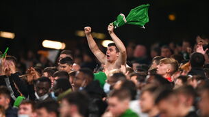 <p>An Ireland supporter celebrates a goal during the international friendly match between Republic of Ireland and Qatar at Aviva Stadium in Dublin. Photo by Sam Barnes/Sportsfile</p>