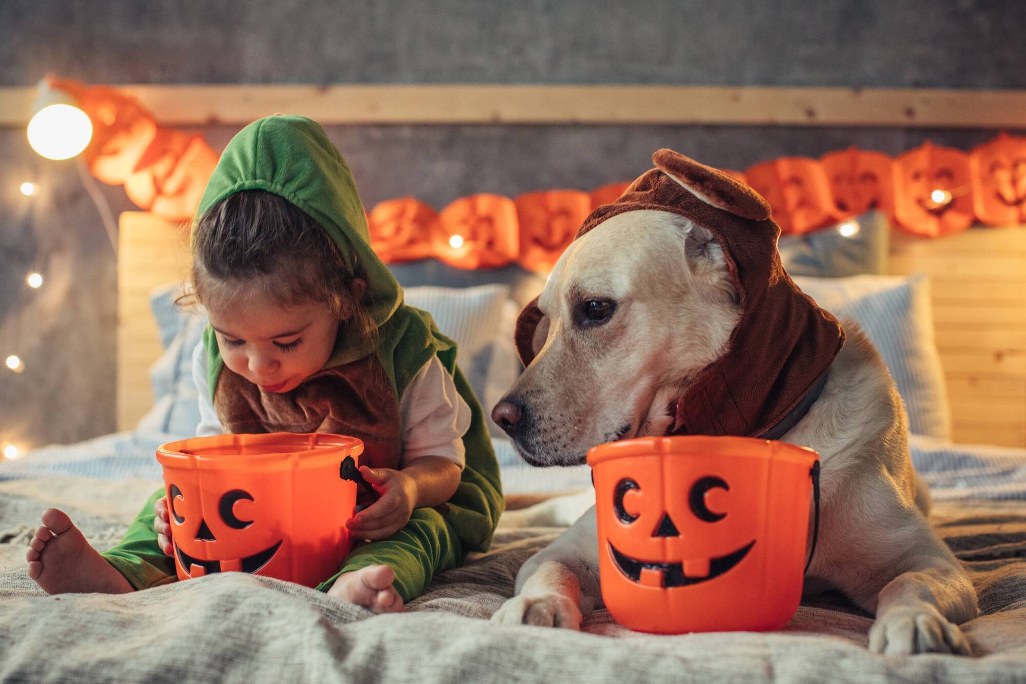 Life Hack: How to keep children and pets safe at Halloween