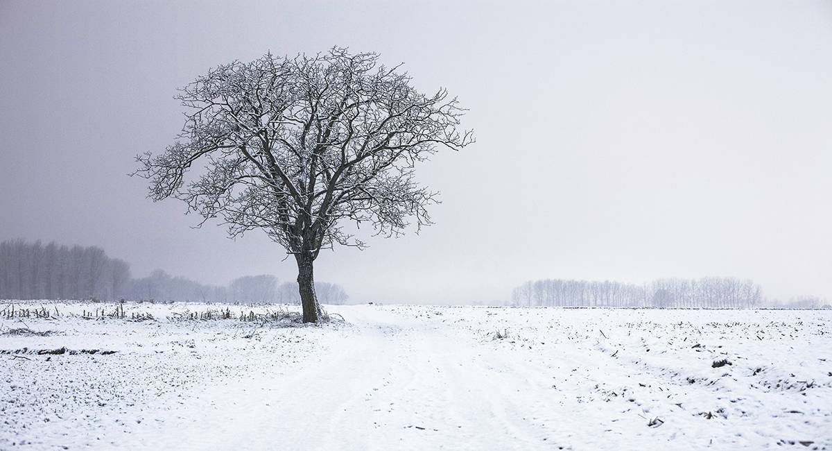 White winter ahead: Meteorologists predict bouts of cold air and snow 
