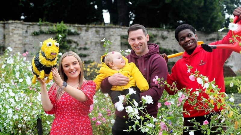 Peter Dowdall: Why Gaisce's Bulbs for Bees is creating a buzz