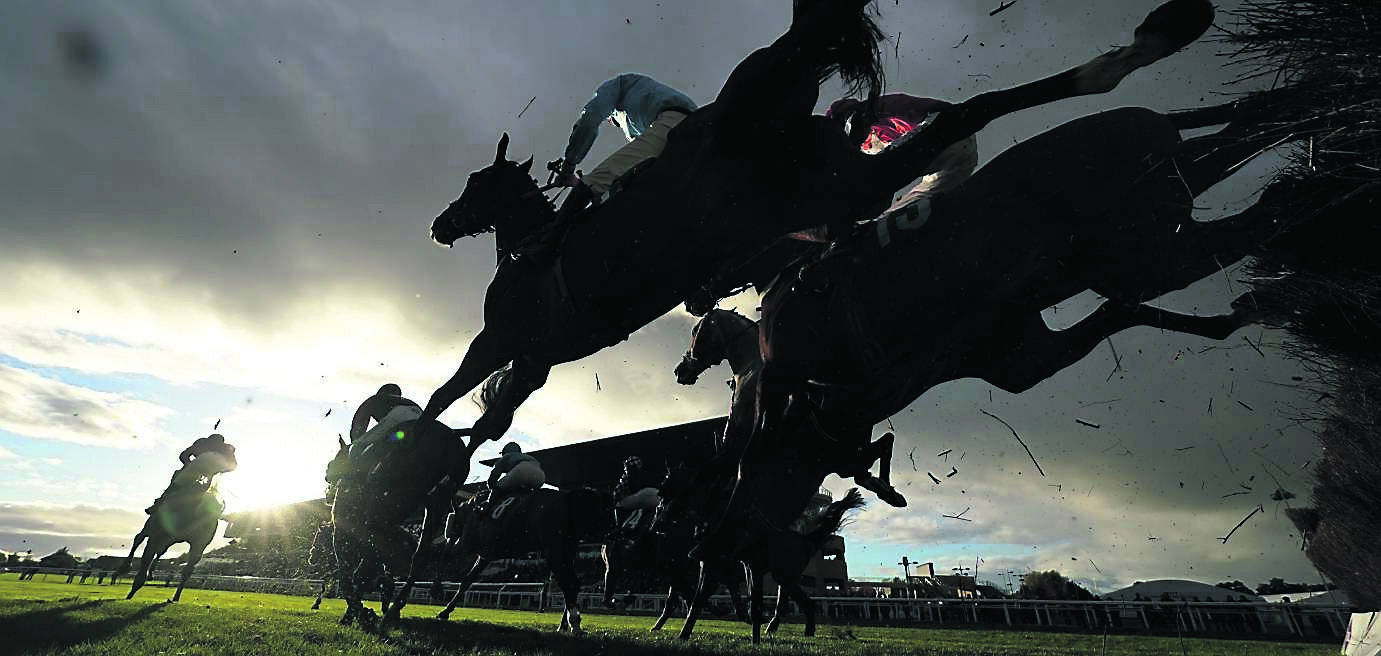 Ruby Walsh: BHA needs to regulate and remember that less is more