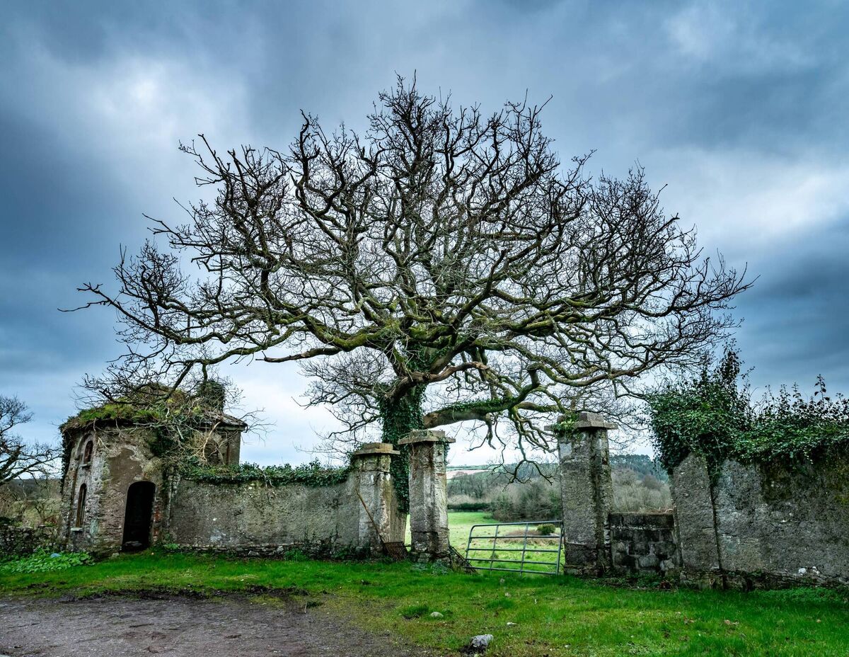 A photograph taken during lockdown by stroke survivor Kieron O'Connor. Picture: kieron-oconnor-photography.squarespace.com