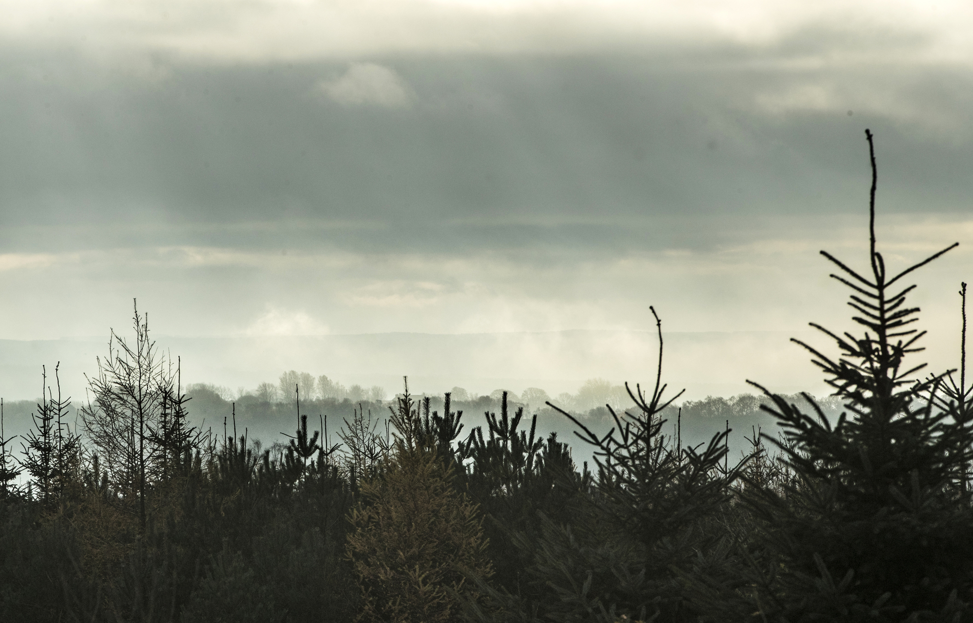 Feeling fearful about the future? What you can do to fight climate change