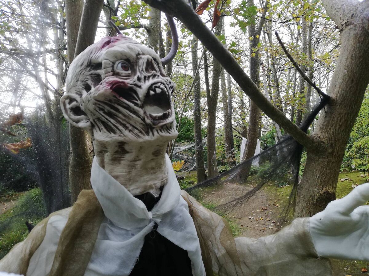 Lafcadio Japanese Gardens Lafcadio Japanese Gardens