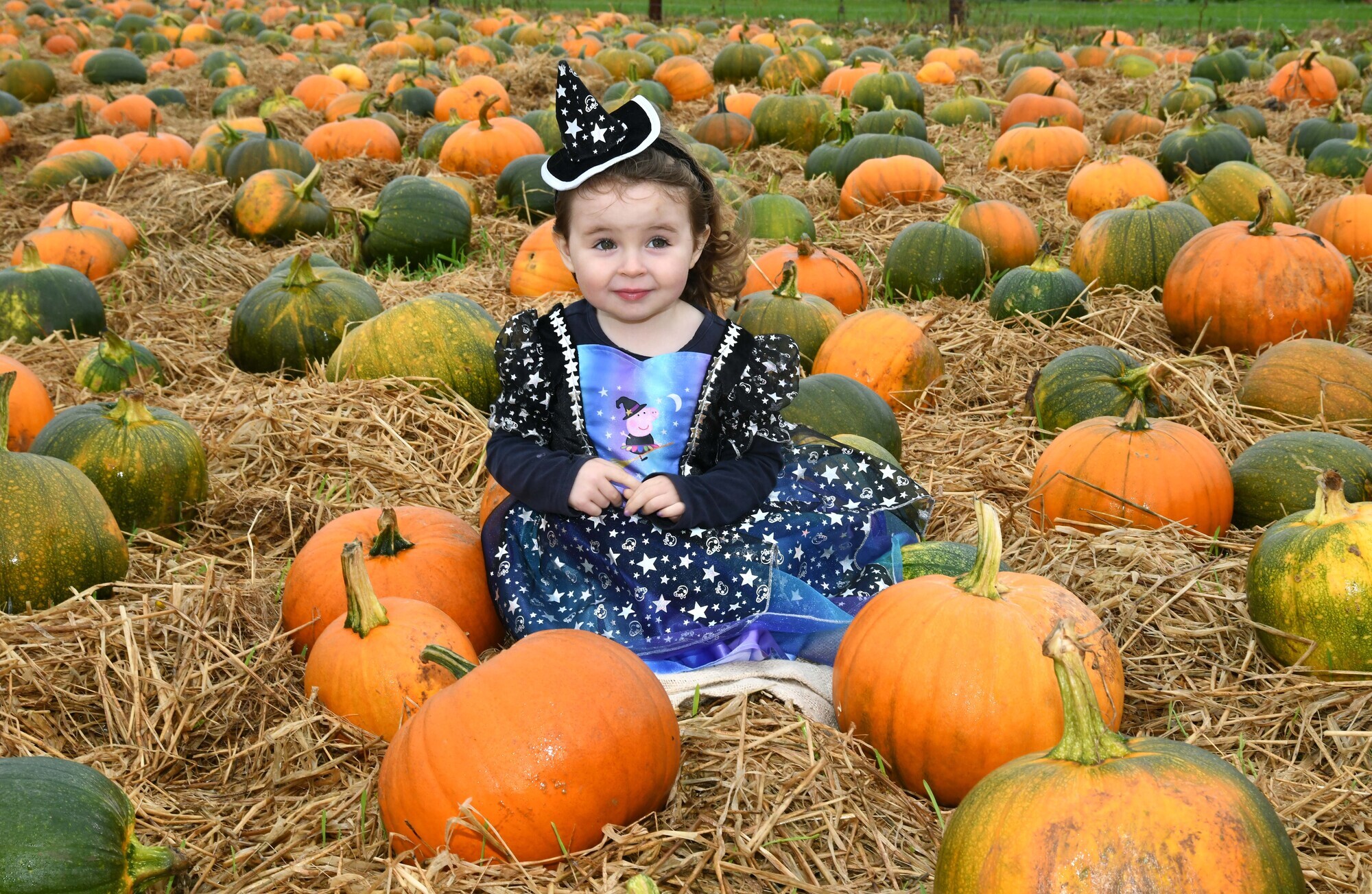 Pumpkin picking and spooky fun: Five Insta-worthy places to visit this midterm