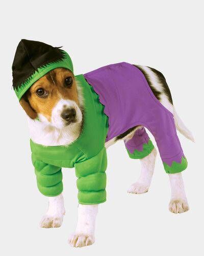 Hulk dog costume, €8, Dunnes Stores Hulk dog costume, €8, Dunnes Stores