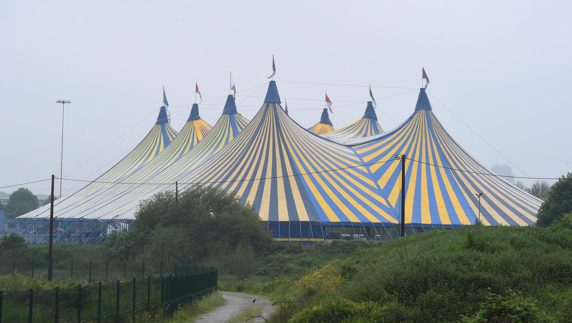 The Riverdance cast will once again take the stage in Ireland when they play Live at the Marquee Cork in June. Pic; Larry Cummins
