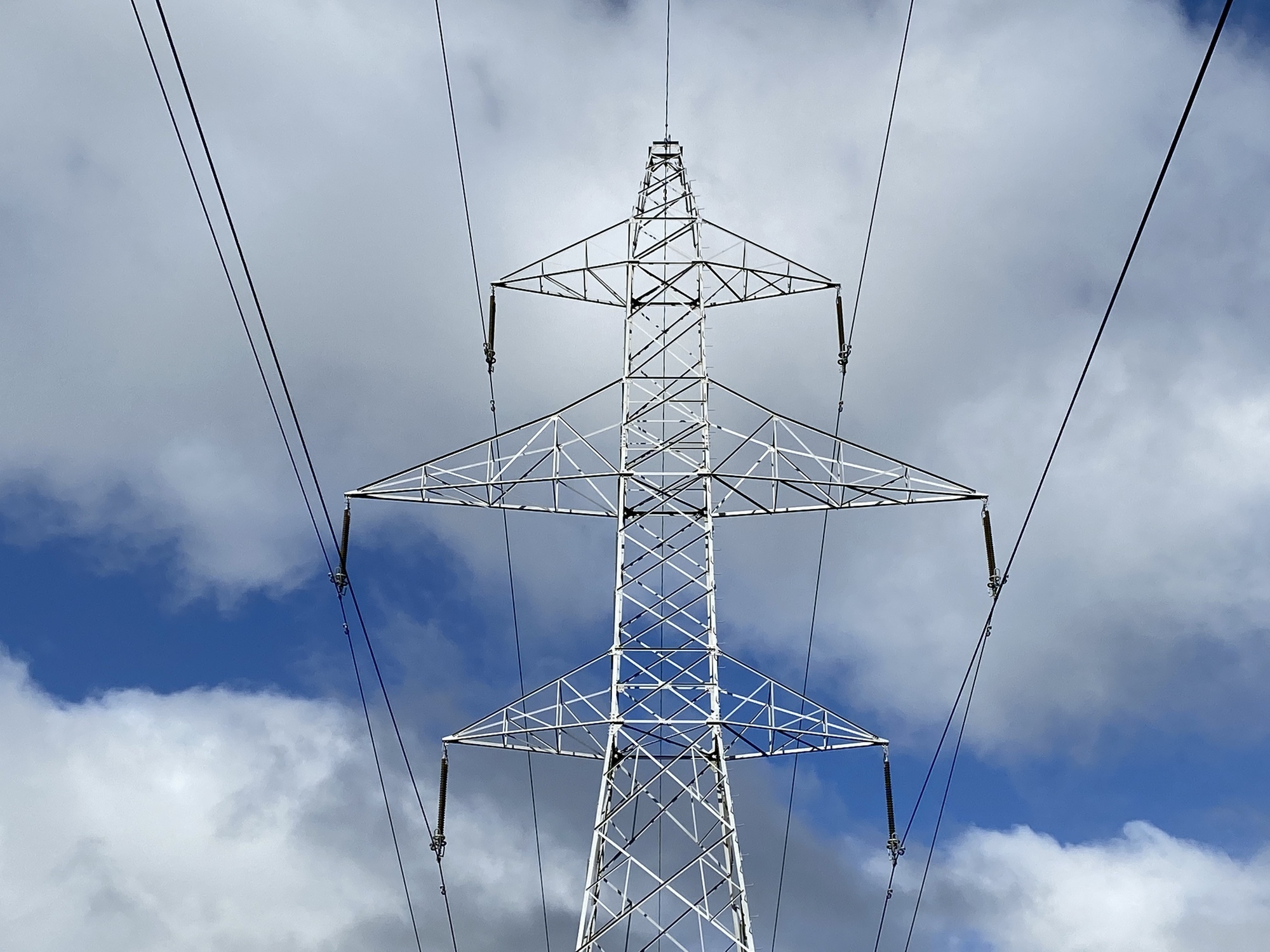 Government must focus on families to drive down energy usage, expert says