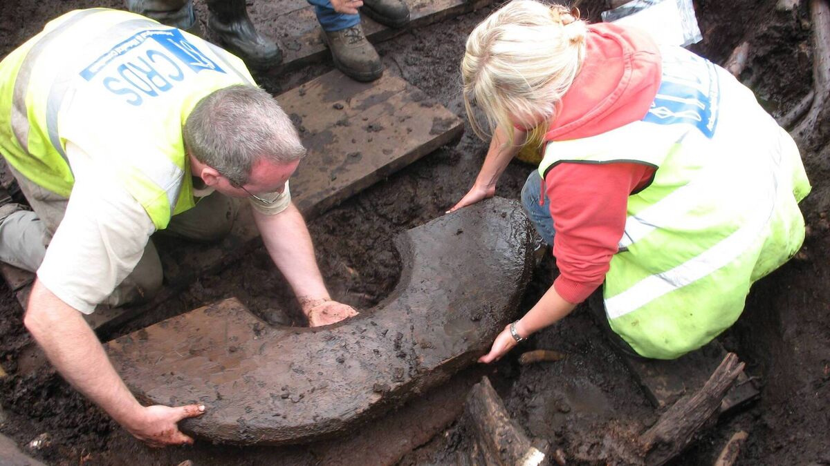 Clodagh Finn: For peat's sake, don't turf out thousands of years of heritage - Vimarsana News