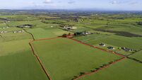 Quality land parcel near Carrignavar receives offer equalling the price guide